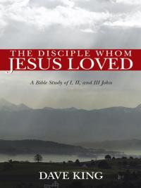 Cover image: The Disciple Whom Jesus Loved 9781490804552