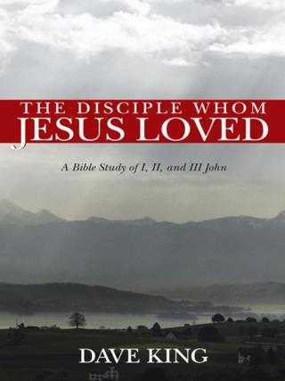 Imagen de portada: The Disciple Whom Jesus Loved 9781490804552