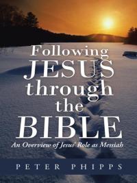 Cover image: Following Jesus Through the Bible 9781490804729