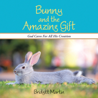 Titelbild: Bunny and the Amazing Gift 9781490809526