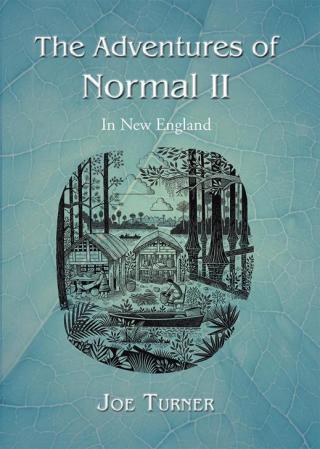 Cover image: The Adventures of Normal Ii 9781490812151