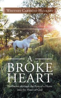 Cover image: A Broke Heart 9781490813769