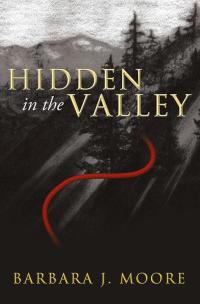 Cover image: Hidden in the Valley 9781490817040