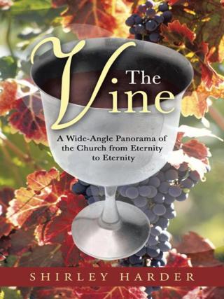 Cover image: The Vine 9781490817118