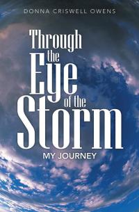 Titelbild: Through the Eye of the Storm 9781490817866