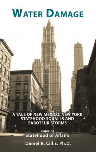 Titelbild: Water Damage 9781491756829