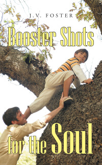 Cover image: Booster Shots for the Soul 9781491836767