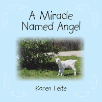 Imagen de portada: A Miracle Named Angel 9781438952468