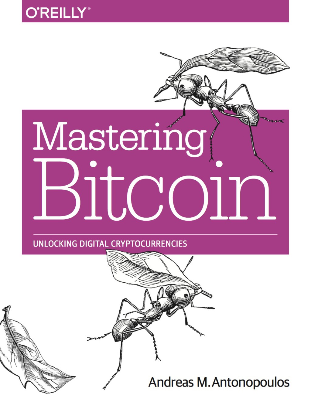 Mastering Bitcoin 1st Edition