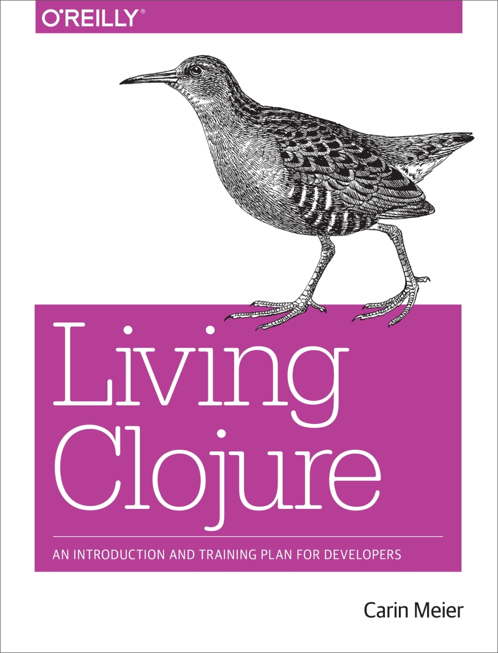 Living Clojure An Introduction and Training Plan for Developers 1st Edition