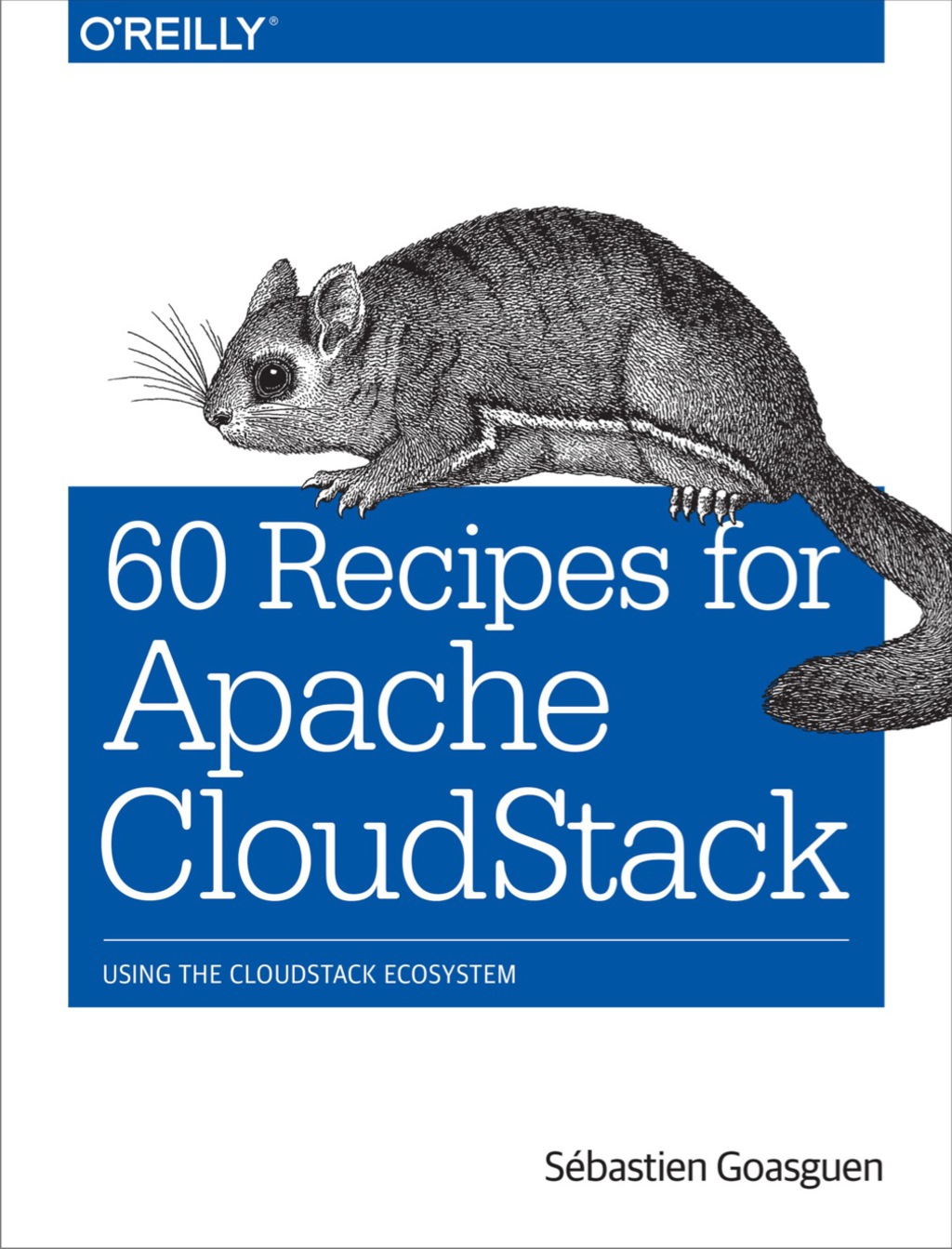 60 Recipes for Apache CloudStack 1st Edition