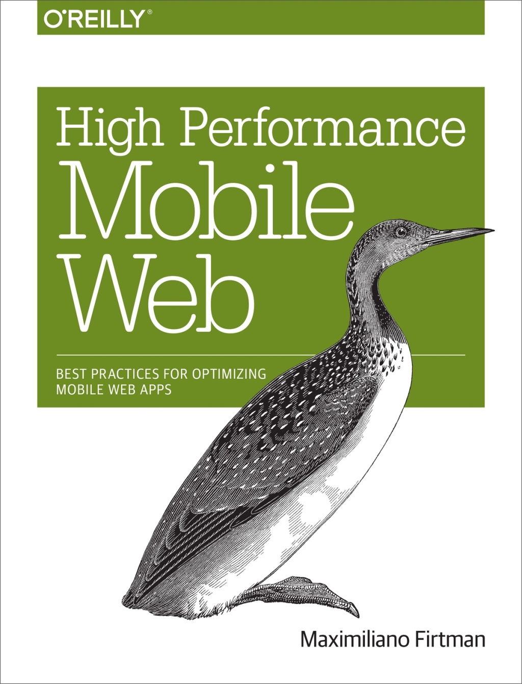 High Performance Mobile Web Best Practices for Optimizing Mobile Web Apps 1st Edition