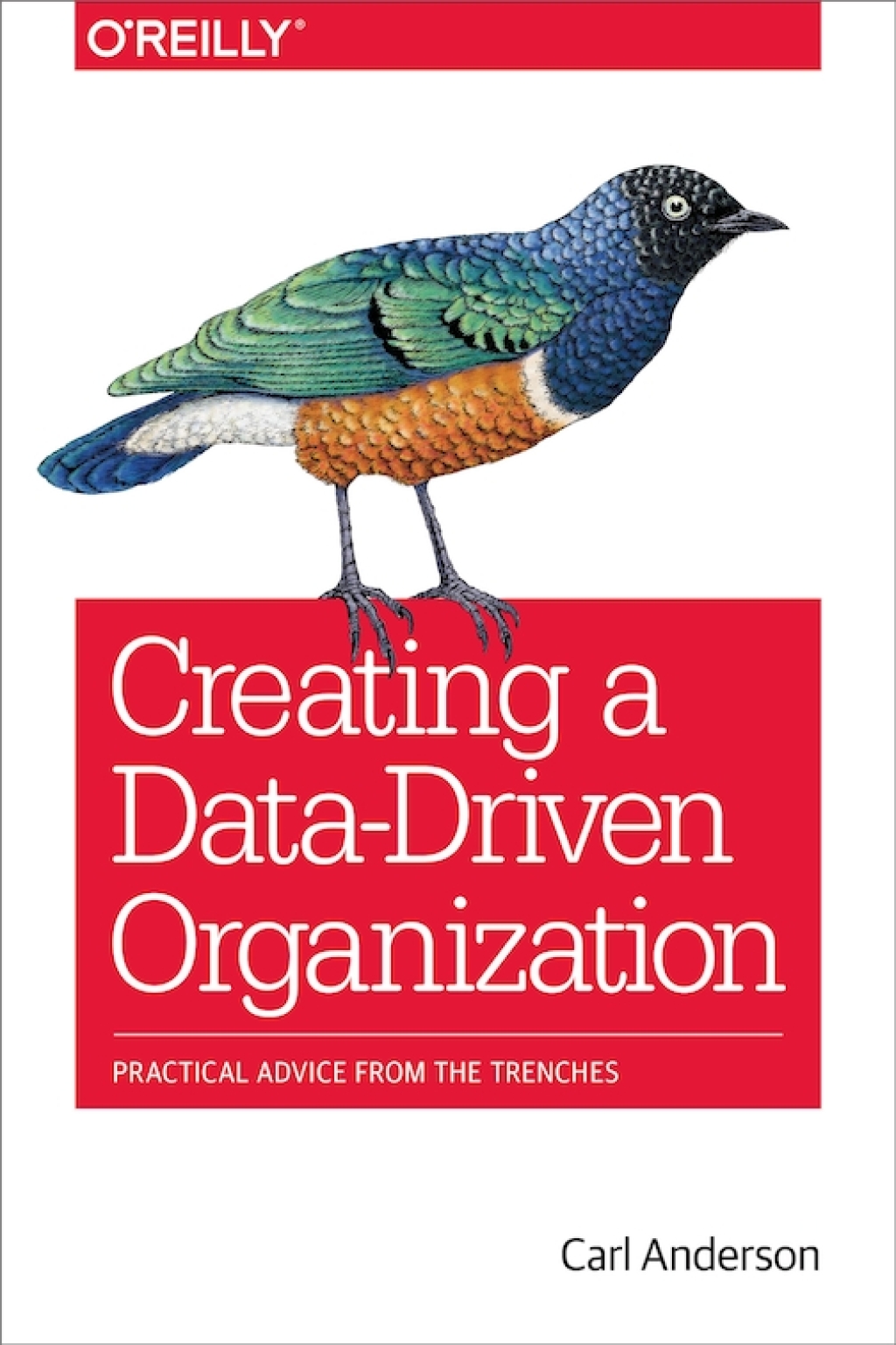 Creating a Data-Driven Organization Practical Advice from the Trenches 1st Edition