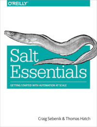 Immagine di copertina: Salt Essentials 1st edition 9781491900635
