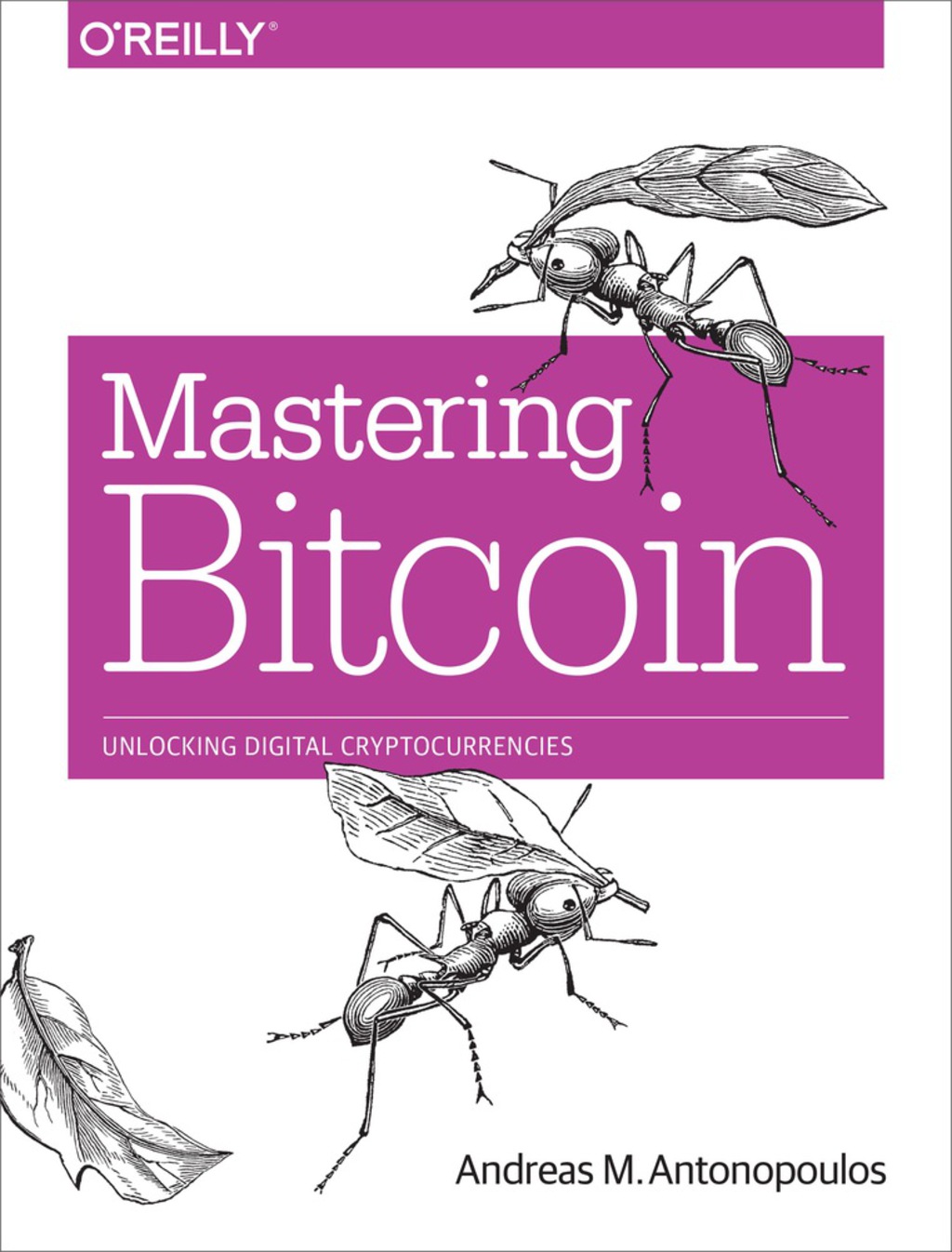 Mastering Bitcoin Unlocking Digital Cryptocurrencies 1st Edition