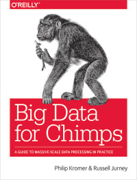 Imagen de portada: Big Data for Chimps 1st edition 9781491923948
