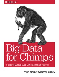 Imagen de portada: Big Data for Chimps 1st edition 9781491923948