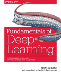 Cover image: Fundamentals of Deep Learning 1st edition 9781491925614