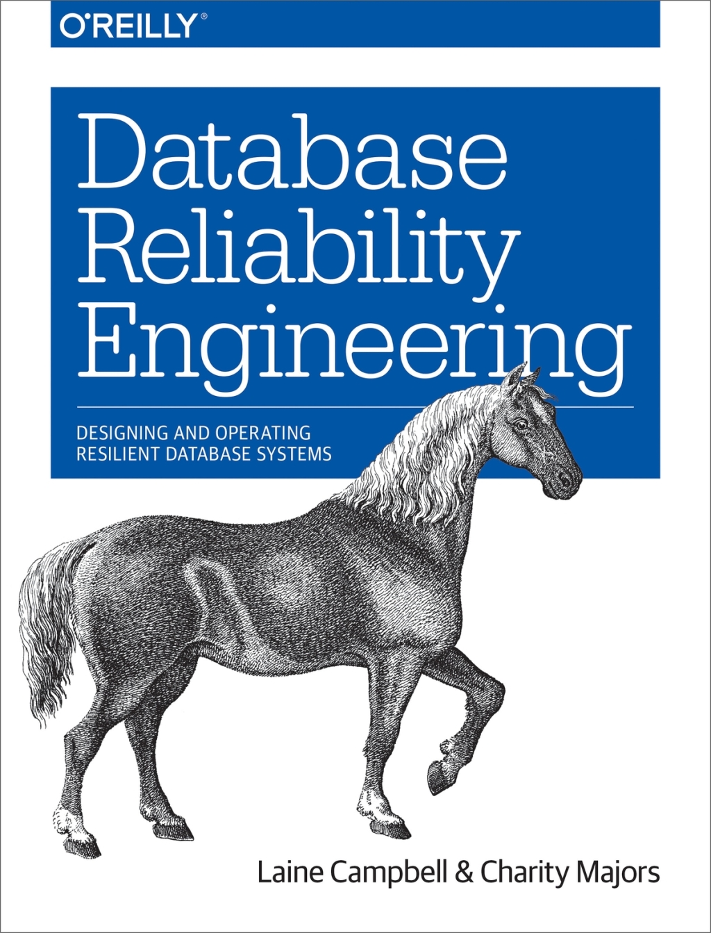 Database Reliability Engineering Designing and Operating Resilient Database Systems 1st Edition