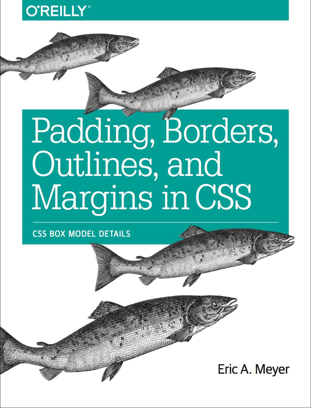 Padding, Borders, Outlines, and Margins in CSS CSS Box Model Details 1st Edition
