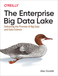 表紙画像: The Enterprise Big Data Lake 1st edition 9781491931554