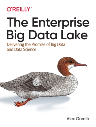 Cover image: The Enterprise Big Data Lake 1st edition 9781491931554