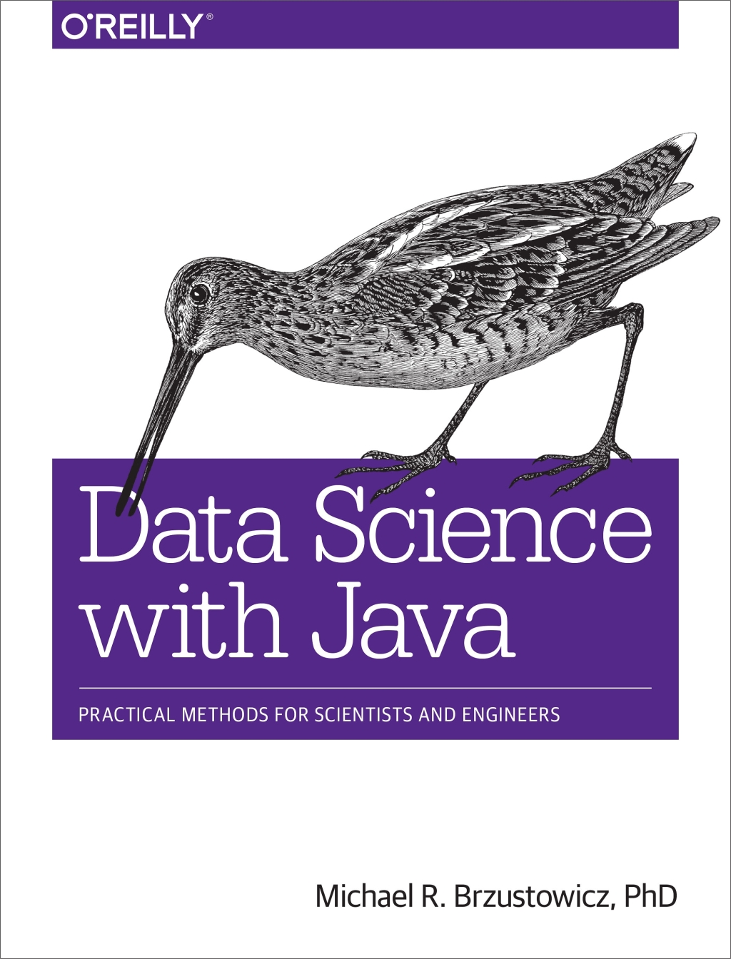 Data Science with Java - 1st Edition (eBook)