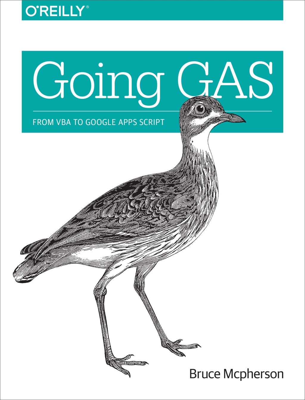 Going GAS From VBA to Google Apps Script 1st Edition