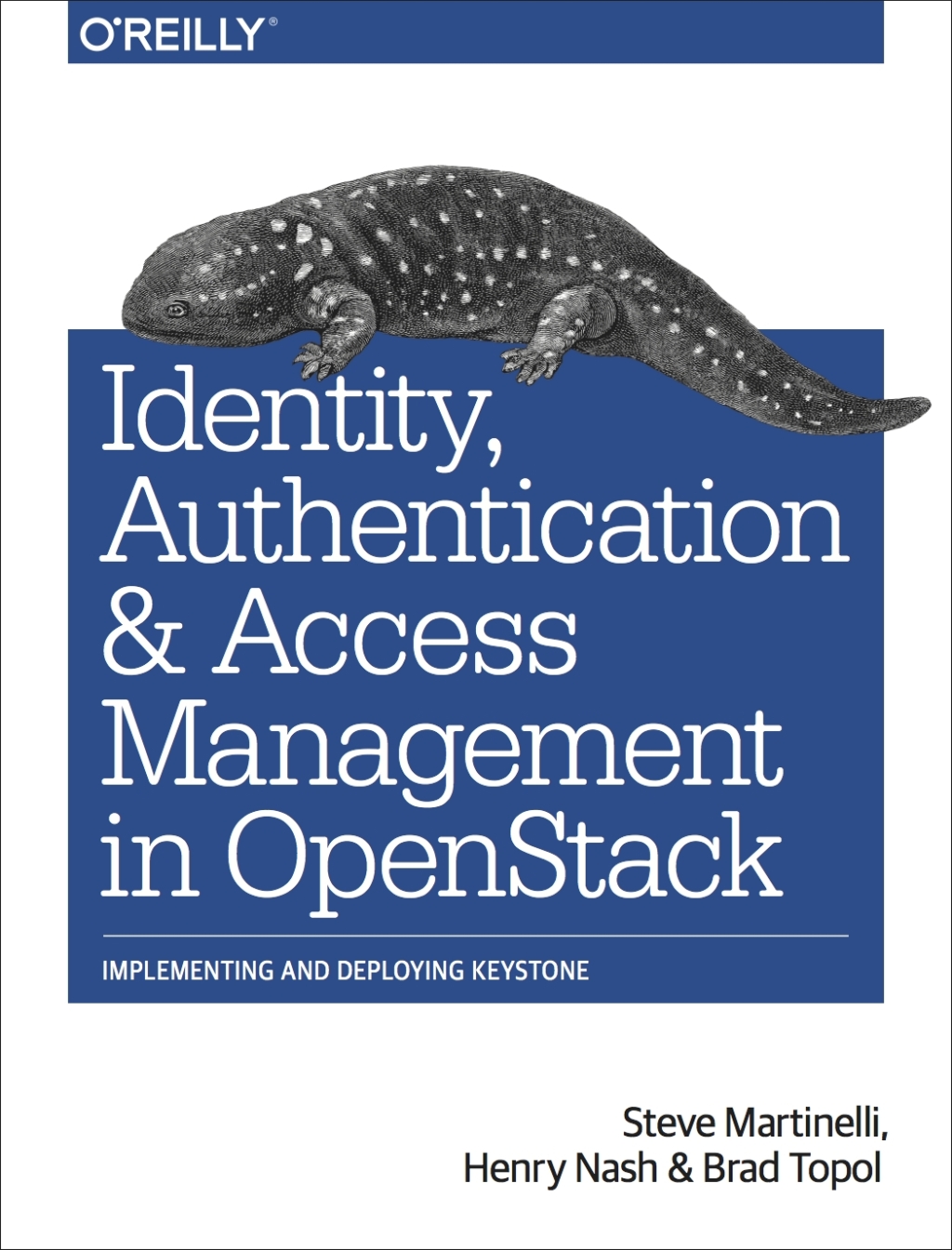 Identity, Authentication, and Access Management in OpenStack Implementing and Deploying Keystone 1st Edition