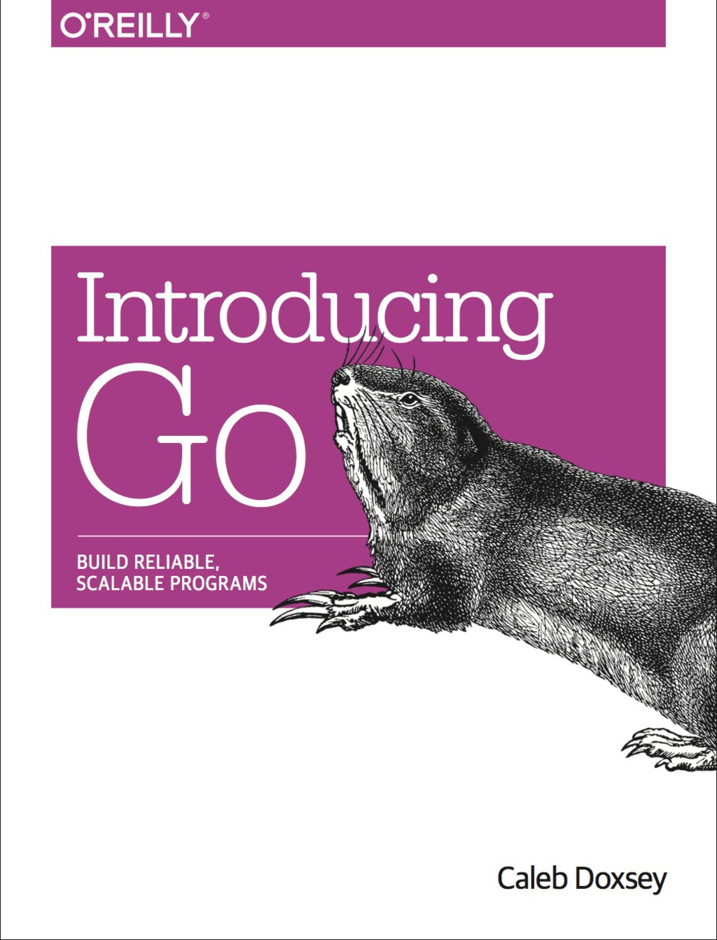 Introducing Go Build Reliable, Scalable Programs 1st Edition