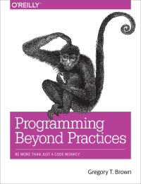 表紙画像: Programming Beyond Practices 1st edition 9781491943823