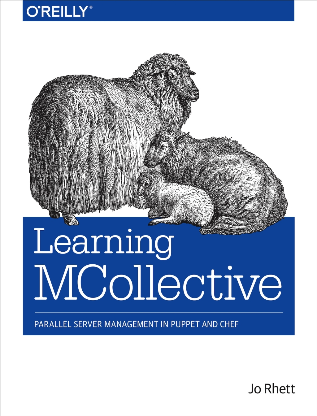 Learning MCollective Parallel Server Management in Puppet and Chef 1st Edition