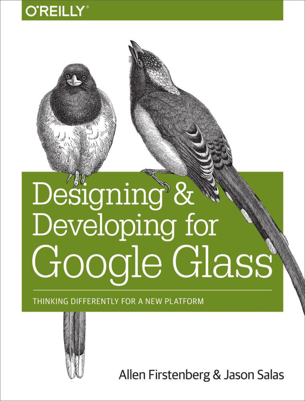 Designing and Developing for Google Glass 1st Edition