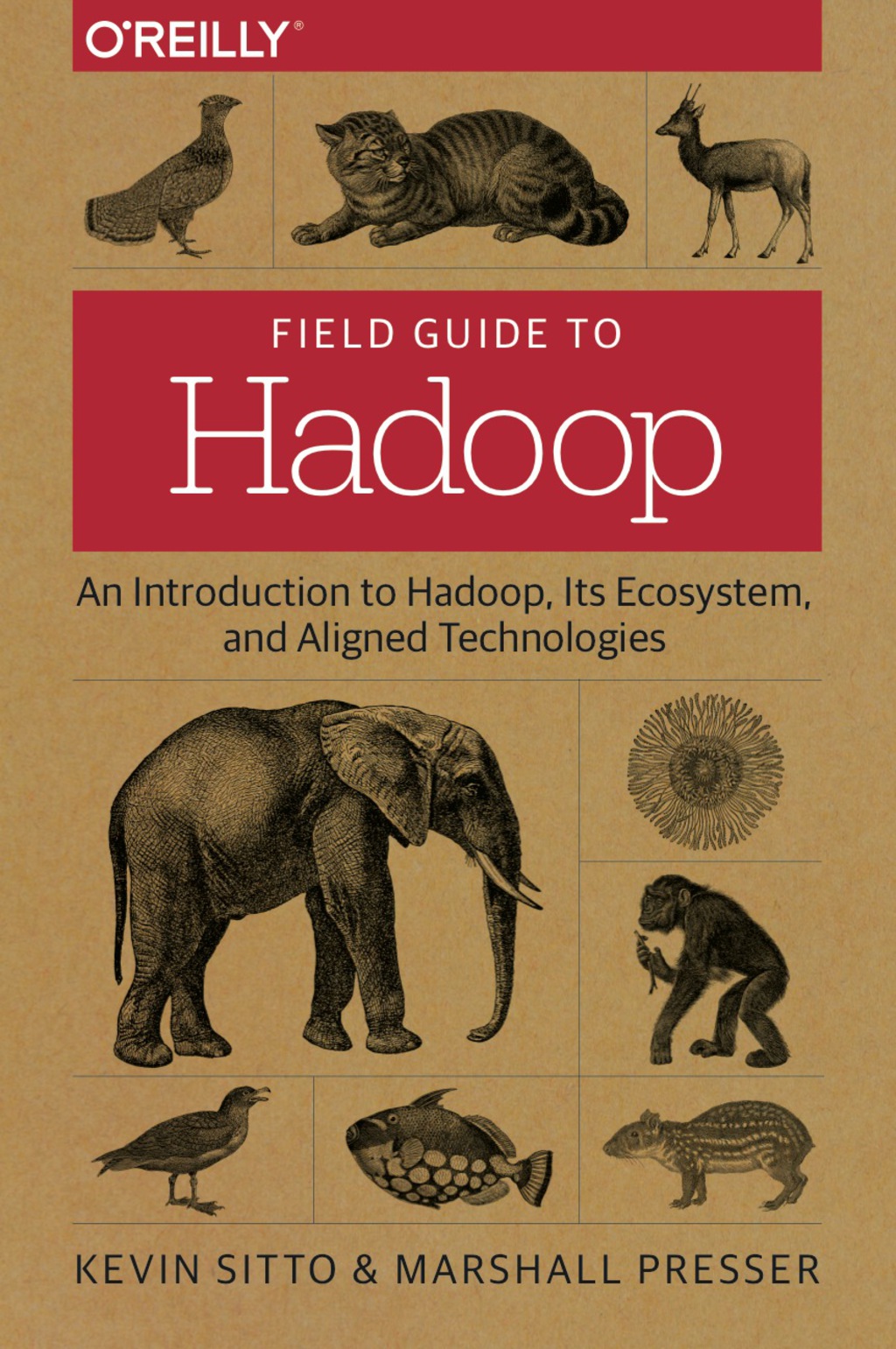 Field Guide to Hadoop An Introduction to Hadoop, Its Ecosystem, and Aligned Technologies 1st Edition