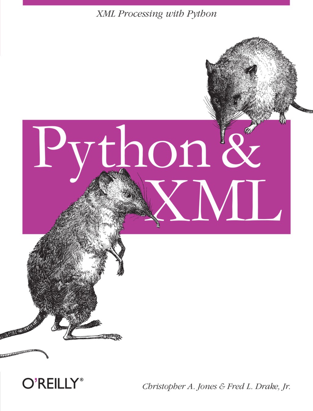 Python & XML - 1st Edition (eBook)