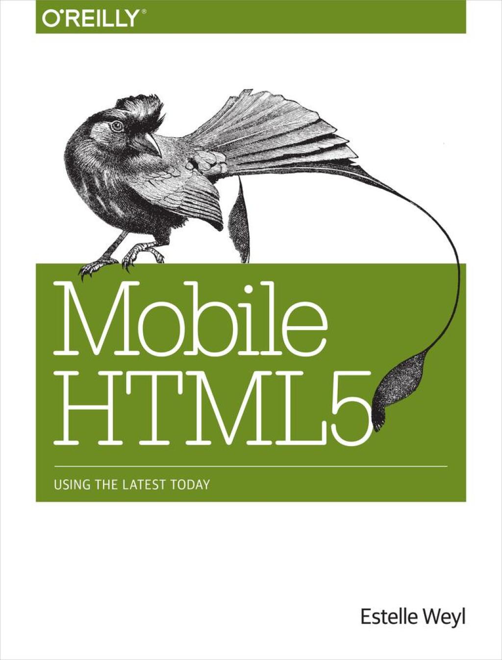 Mobile HTML5 Using the Latest Today 1st Edition