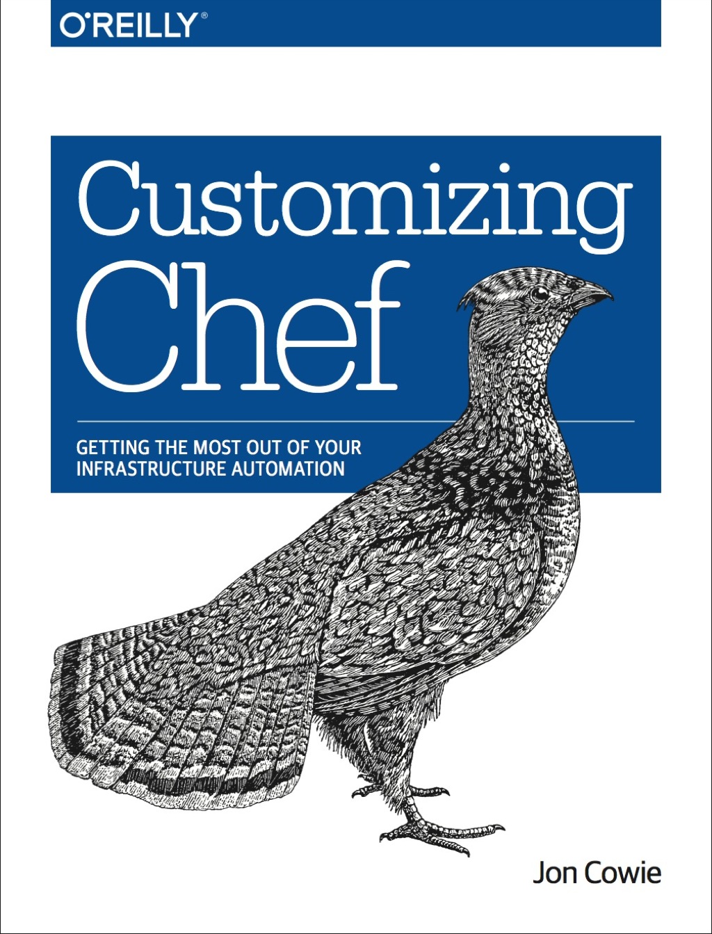 Customizing Chef  1st Edition eBook