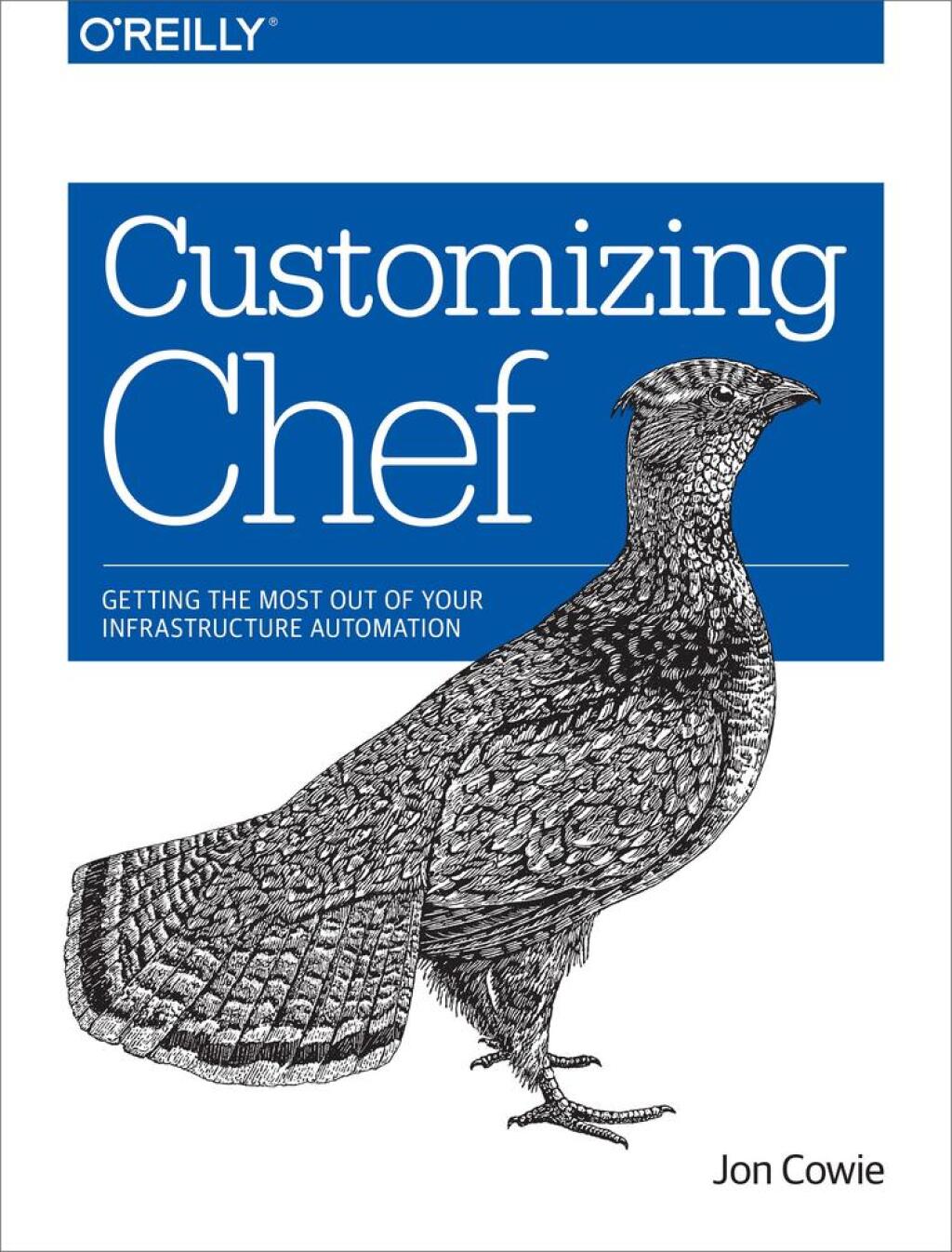 Customizing Chef  1st Edition eBook
