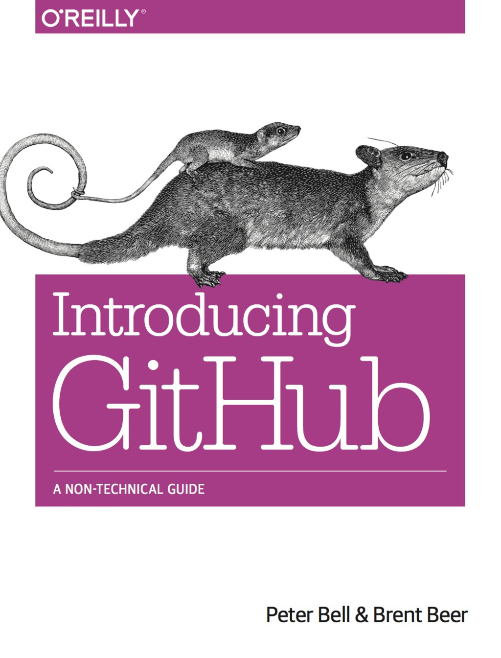 Introducing GitHub 1st Edition