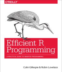 Cover image: Efficient R Programming 1st edition 9781491950784