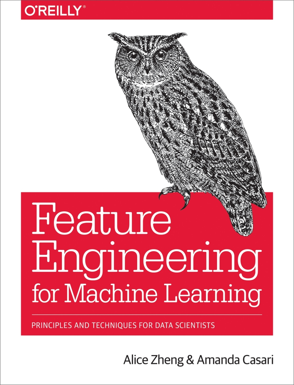 Feature Engineering for Machine Learning - 1st Edition (eBook)