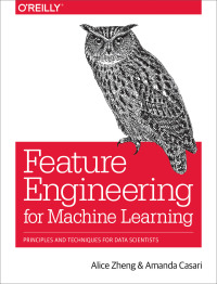 Titelbild: Feature Engineering for Machine Learning 1st edition 9781491953242