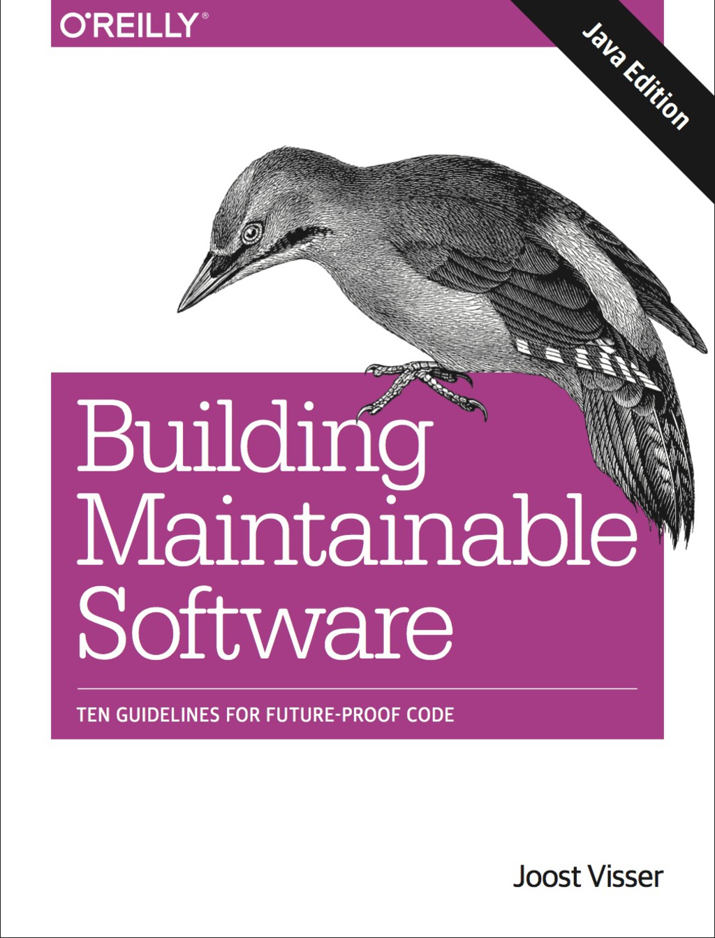 Building Maintainable Software  Java Edition - 1st Edition (eBook)