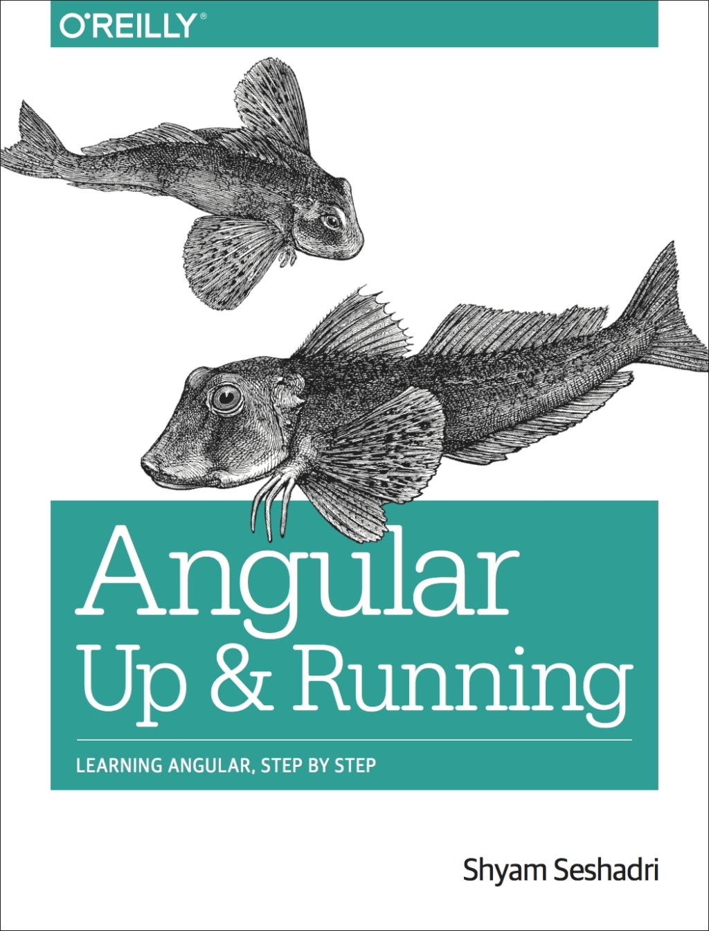 Angular: Up and Running - 1st Edition (eBook)