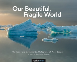 Imagen de portada: Our Beautiful, Fragile World 1st edition 9781937538347
