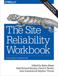 Immagine di copertina: The Site Reliability Workbook 1st edition 9781492029502