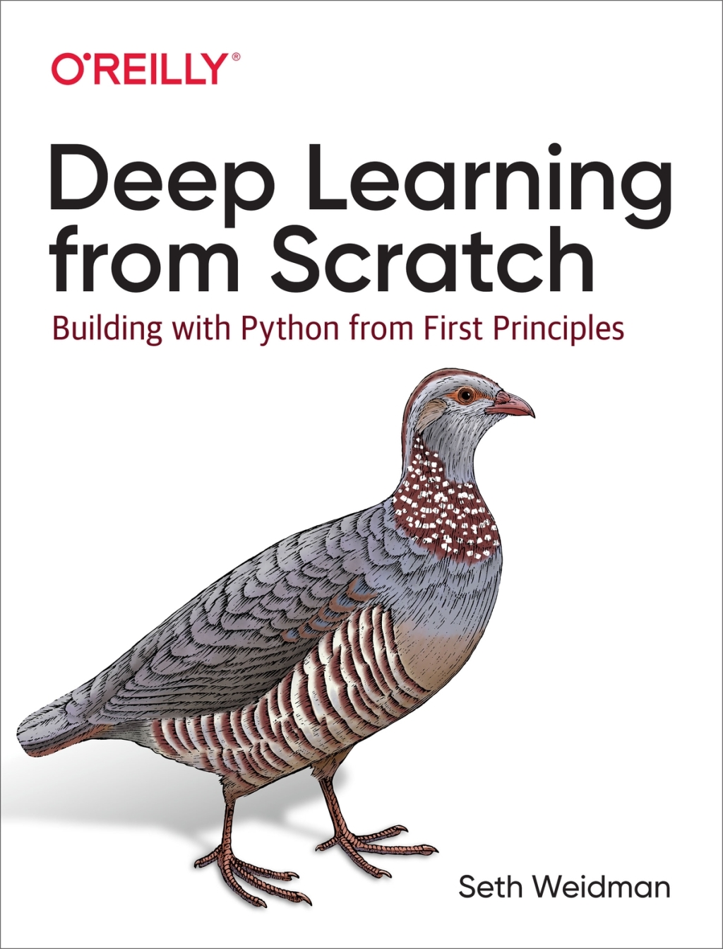 Deep Learning from Scratch Building with Python from First Principles 1st Edition