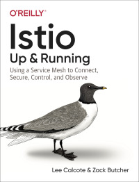 Immagine di copertina: Istio: Up and Running 1st edition 9781492043782