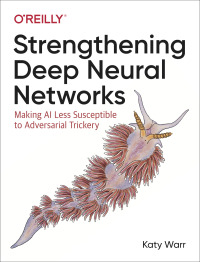 Imagen de portada: Strengthening Deep Neural Networks 1st edition 9781492044956