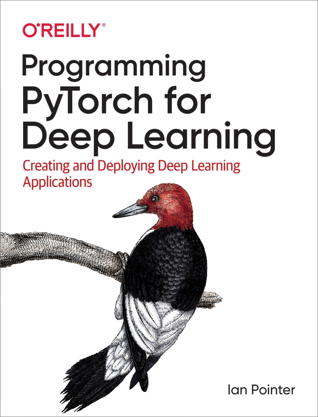 Programming PyTorch for Deep Learning - 1st Edition (eBook)